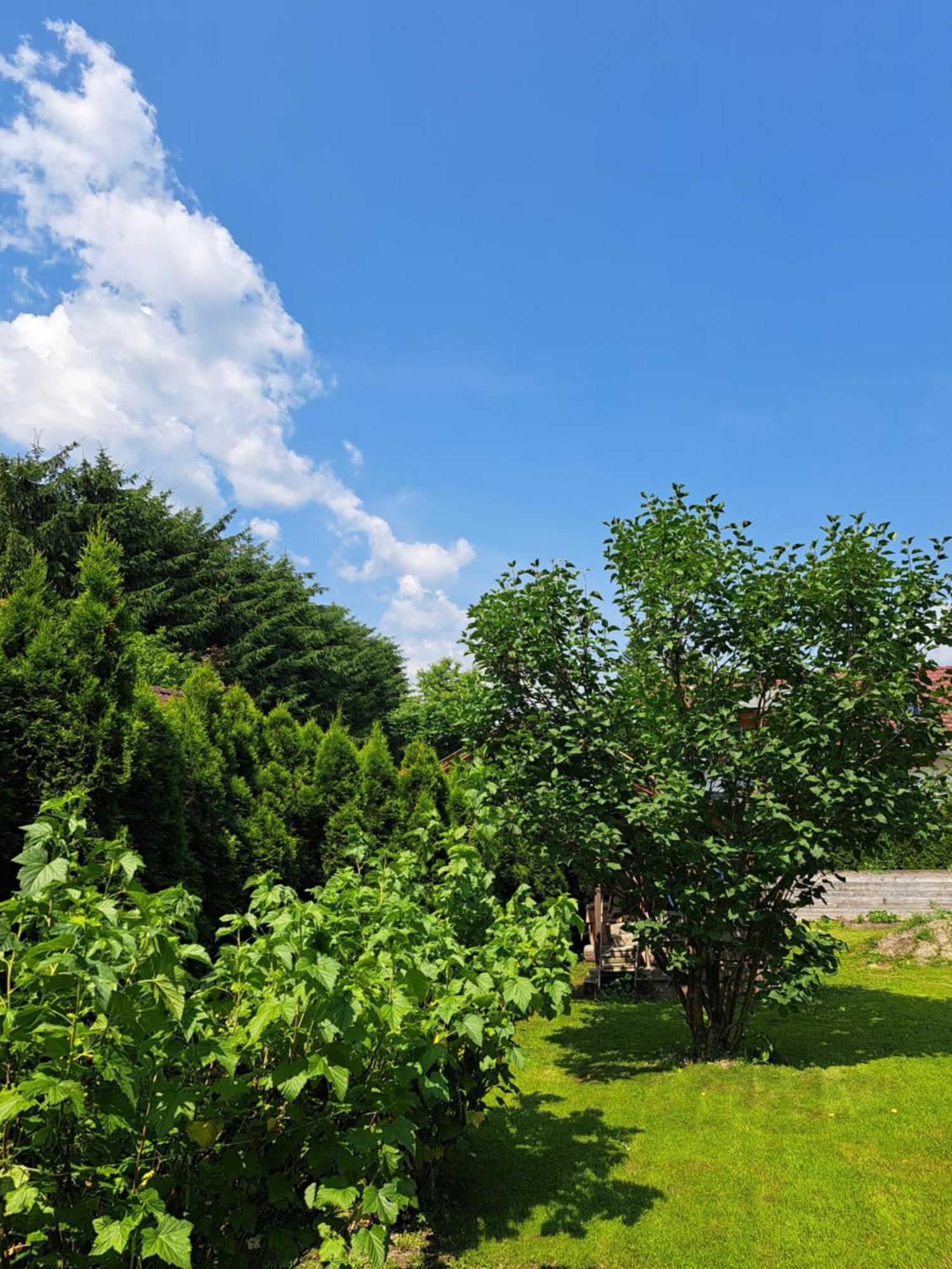 Apartment Katzer Tröpolach Dış mekan fotoğraf